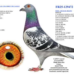 Fr25 129472