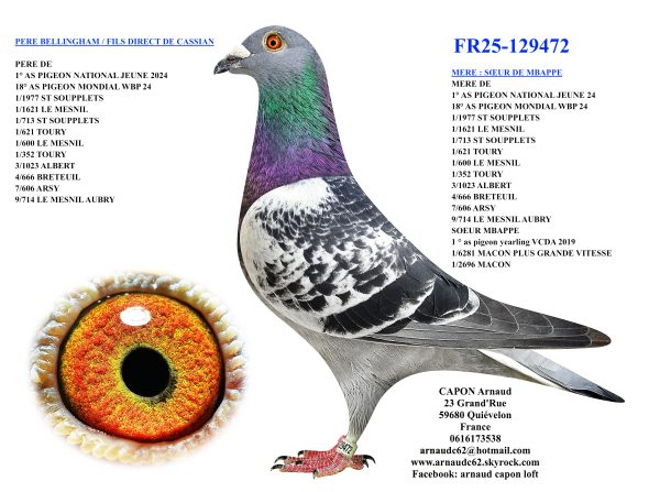 Fr25 129472