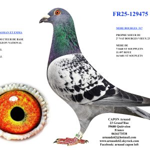 Fr25 129475