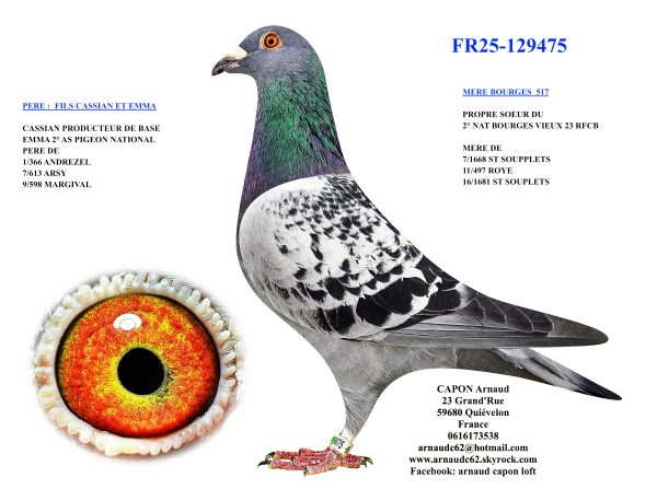 Fr25 129475