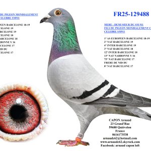 Fr25 129488