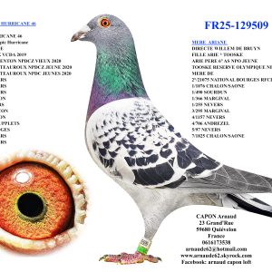 Fr25 129509