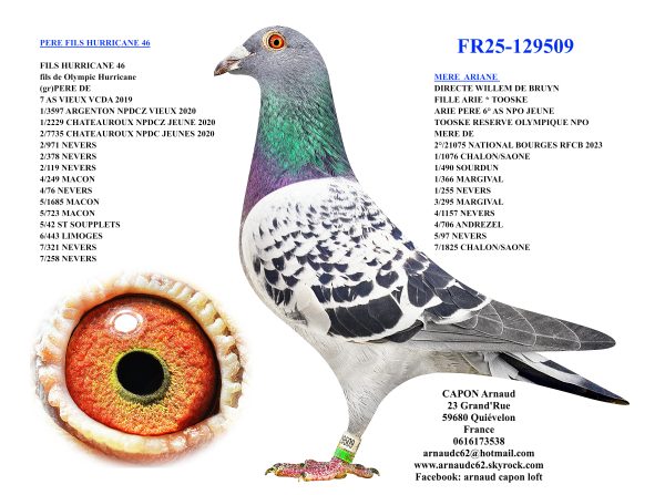 Fr25 129509