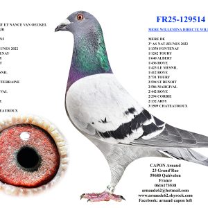 Fr25 129514
