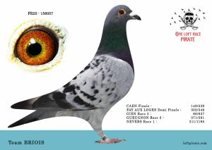 N° 29 : FR-2025-156057 M – Team BRIOIS