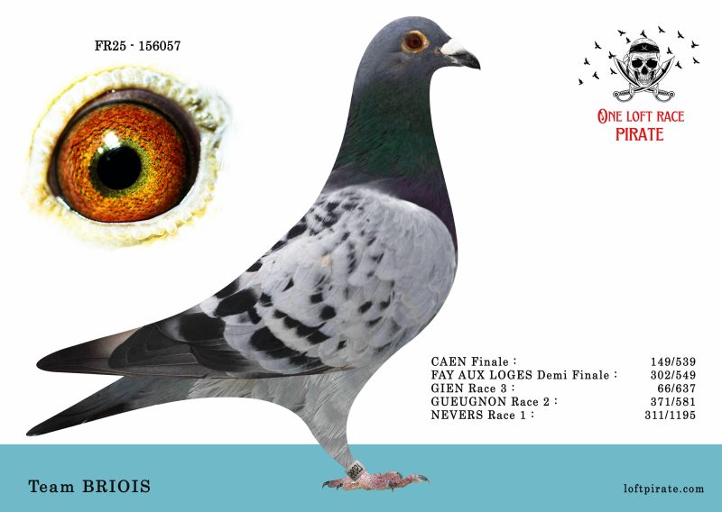 N° 29 : FR-2025-156057 M – Team BRIOIS