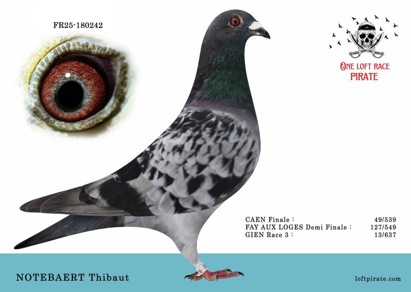 N° 30 : FR-2025-180242 M – NOTEBAERT Thibaut