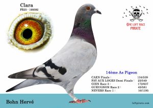 N° 31 : FR-2025-199392 F – BOHN Hervé