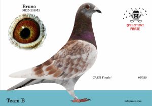 N° 32 : FR-2025-233952 F – Team B