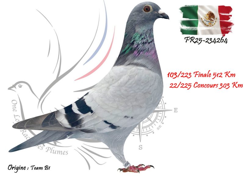 N° 103 : FR25-234264