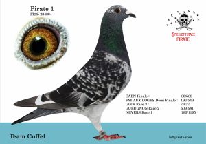 N° 23 : FR-2025-234804 F – Team Cuffel