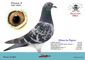 N° 32 : FR-2025-234855 F – Team Cuffel