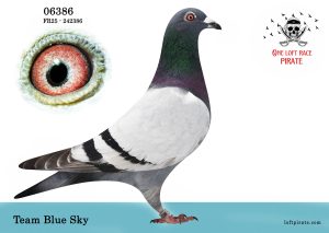 N° 33 : FR-2025-242386 M – Team Blue Sky