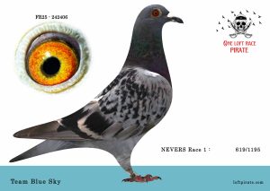 N° 34 : FR-2025-242406 F – Team Blue Sky