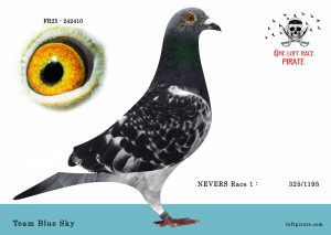 N° 35 : FR-2025-242410 M – Team Blue Sky