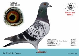 N° 33 : FR-2025-249899 F – Le Fond du Sceau