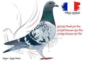 N° 57 : FR25-253646