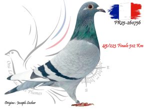 N° 45 : FR25-260756