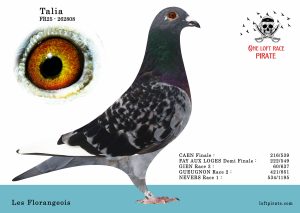 N° 25 : FR-2025-262808 F – Les Florangeois