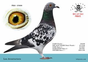 N° 27 : FR-2025-278308 F – Les Aventuriers