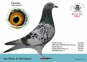 N° 28 : FR-2025-280207 F – Les Ninja de Martigues