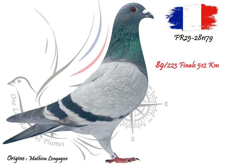 N° 89 : FR25-281179