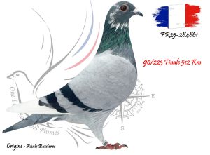 N° 90 : FR25-284861