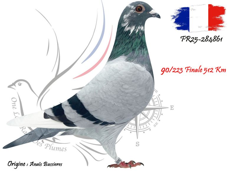 N° 90 : FR25-284861