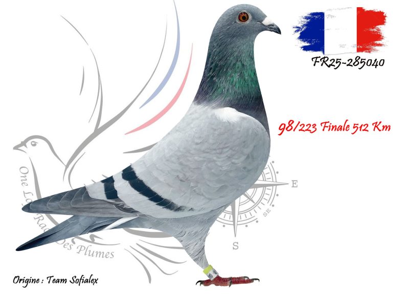 N° 98 : FR25-285040