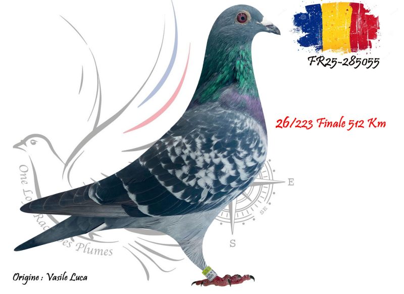 N° 26 : FR25-285055