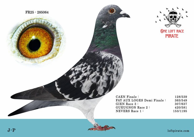 N° 36 : FR-2025-285064 F – J-P