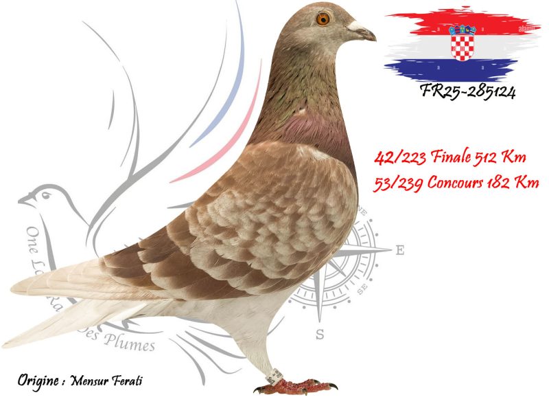 N° 42 : FR25-285124