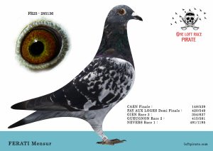 N° 37 : FR-2025-285136 F – FERATI Mensur