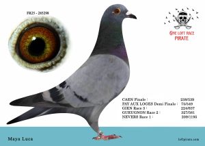 N° 38 : FR-2025-285298 F – Maya Luca