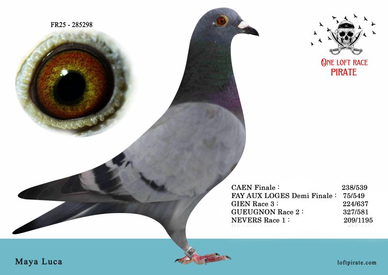 N° 38 : FR-2025-285298 F – Maya Luca