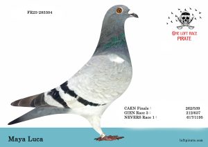 N° 39 : FR-2025-285304 F – Maya Luca