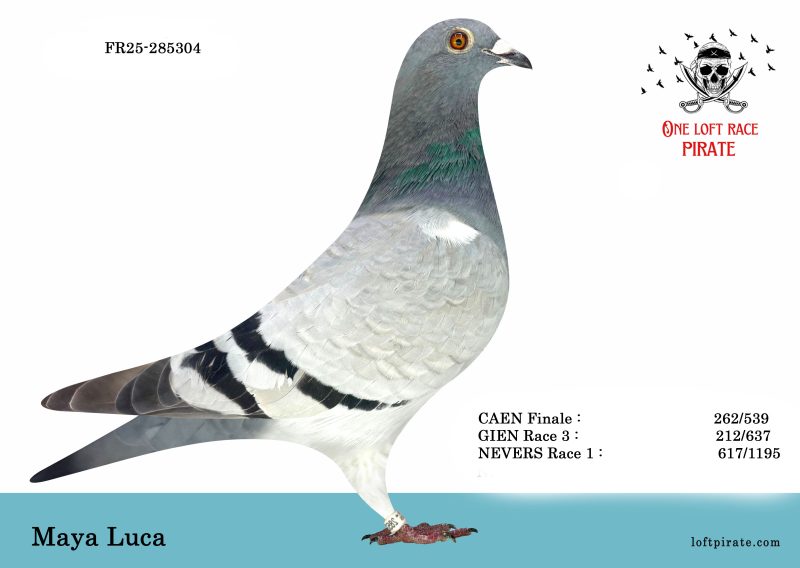 N° 39 : FR-2025-285304 F – Maya Luca