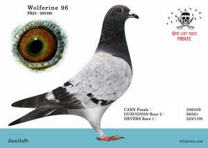 N° 29 : FR-2025-285396 F – Janiloft