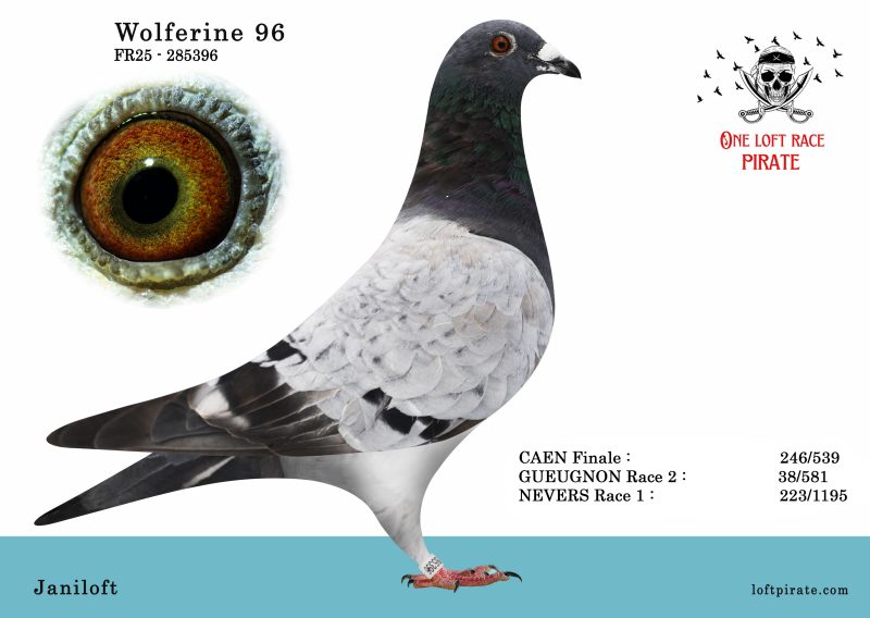 N° 29 : FR-2025-285396 F – Janiloft