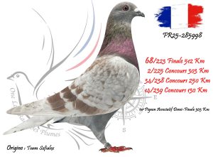 N° 68 : FR25-285998