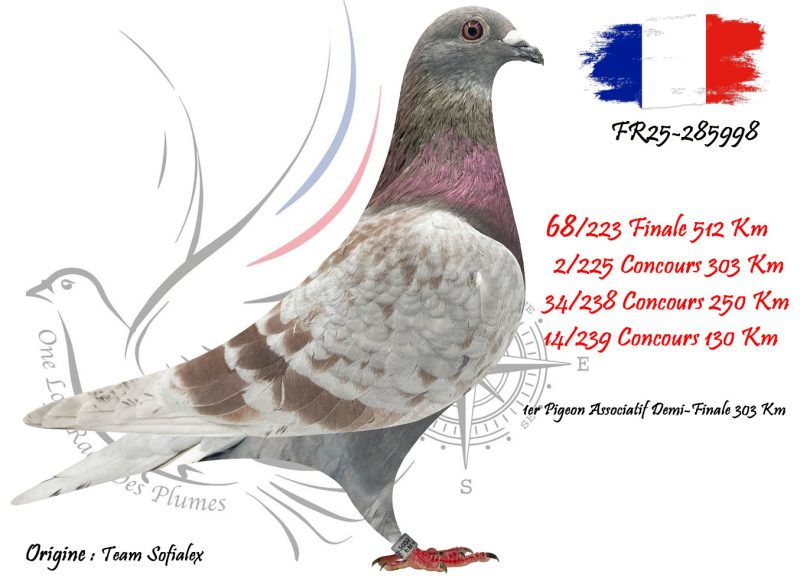 N° 68 : FR25-285998