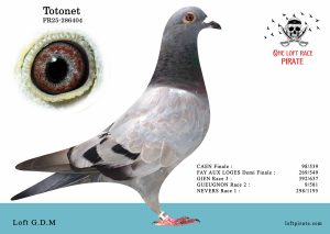 N° 40 : FR-2025-286404 F – Loft G.D.M