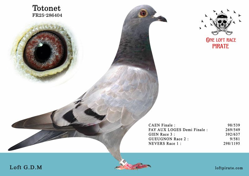 N° 40 : FR-2025-286404 F – Loft G.D.M