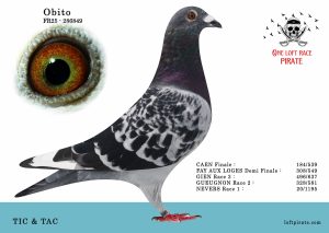 N° 40 : FR-2025-286849 M – TIC & TAC