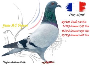 N° 25 : FR25-287146