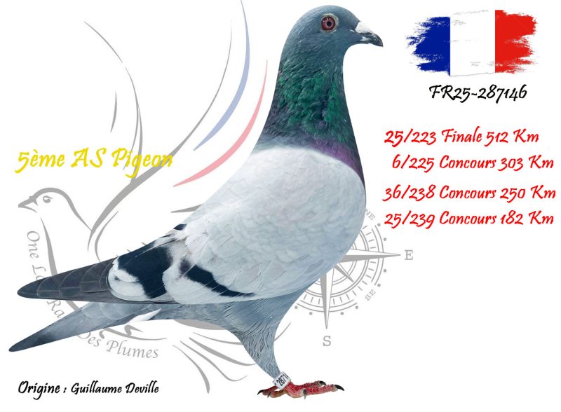 N° 25 : FR25-287146