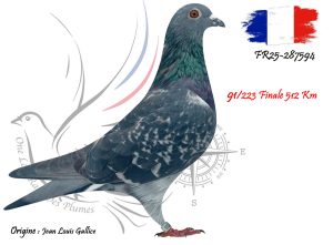 N° 91 : FR25-287594