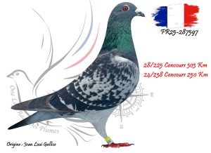 N° 117 : FR25-287597