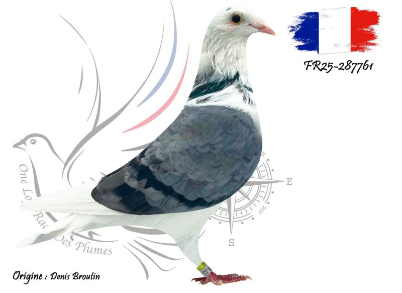 N° 114 : FR25-287761