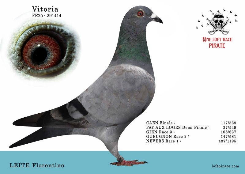 N° 32 : FR-2025-291414 F – LEITE Florentino